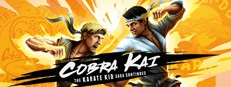 Cobra Kai: The Karate Kid Saga Contiunes