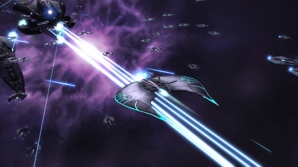 Product Showcase