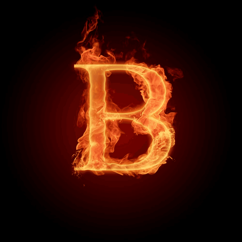 logo BRAVO SHOP