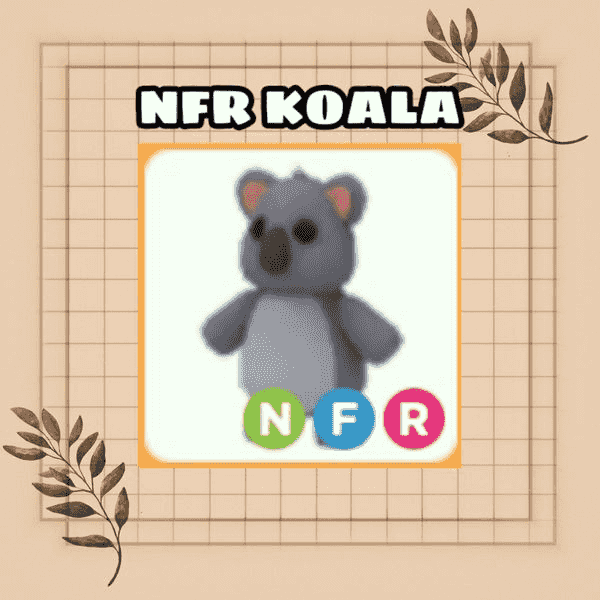 Gambar Roblox Koala NFR - adopt me — 1