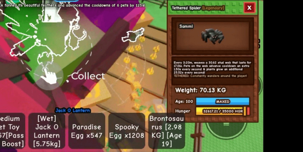 Product Showcase