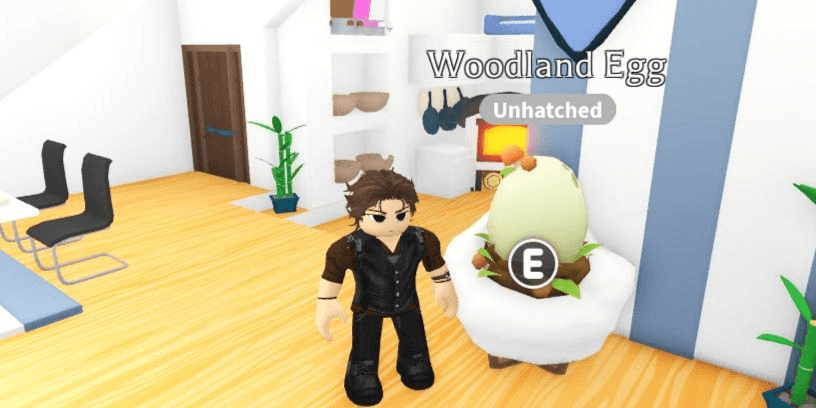 Product Showcase