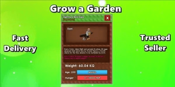 Product Showcase