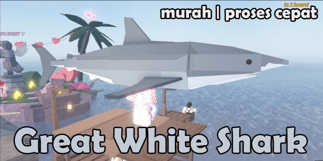 Product Showcase