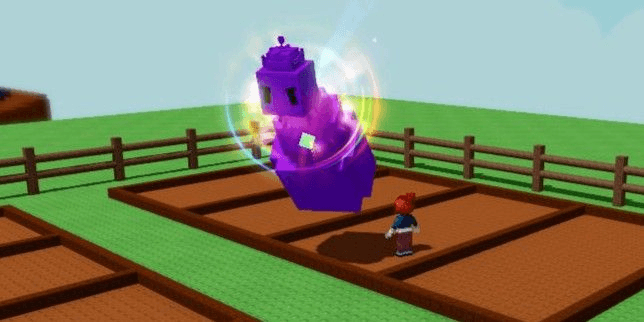 Product Showcase