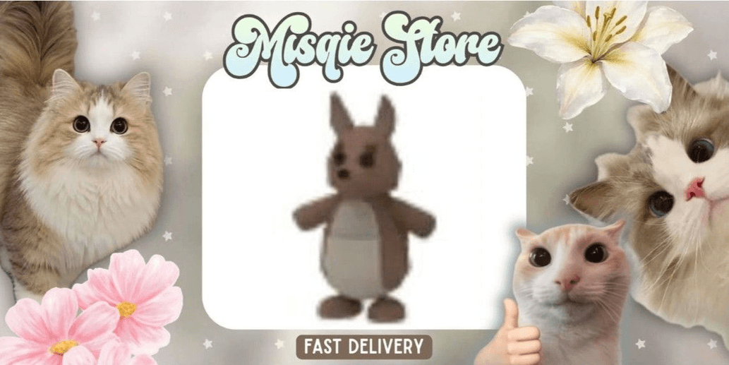 Product Showcase