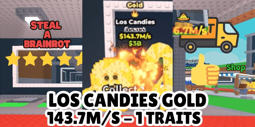 Product Showcase