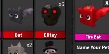 Product Showcase