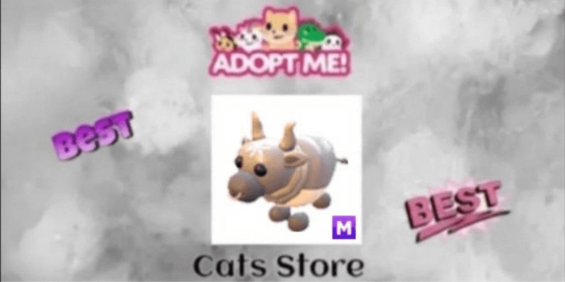 Product Showcase