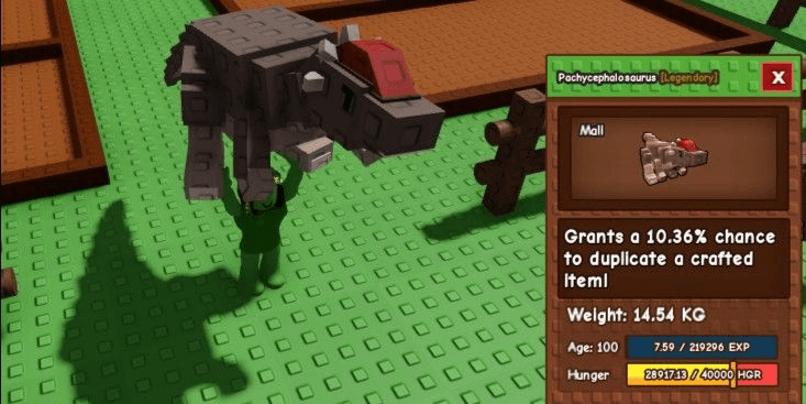 Product Showcase