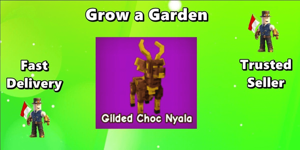 Product Showcase