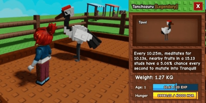 Product Showcase
