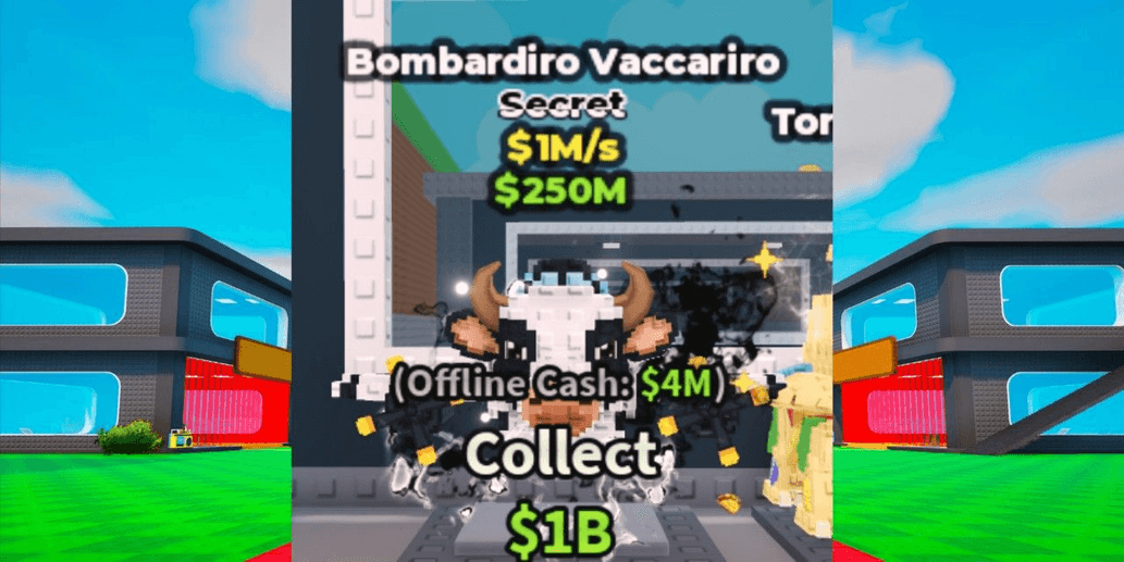 Product Showcase