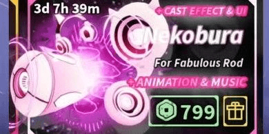 Product Showcase