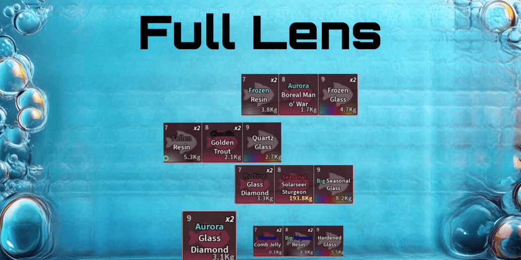 Product Showcase
