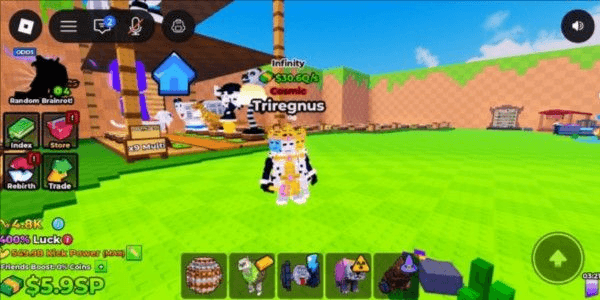 Product Showcase