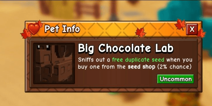 Product Showcase