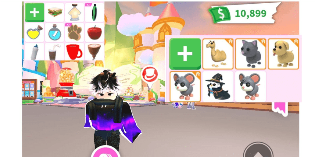 Product Showcase