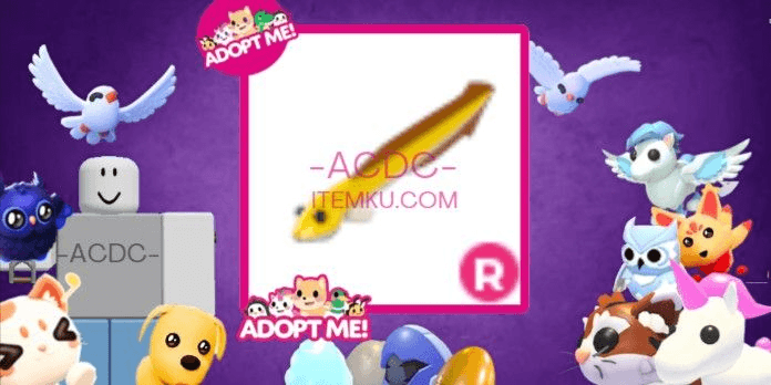 Product Showcase